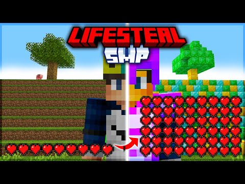 I Got 100 HEARTS in LIFESTEAL SMP