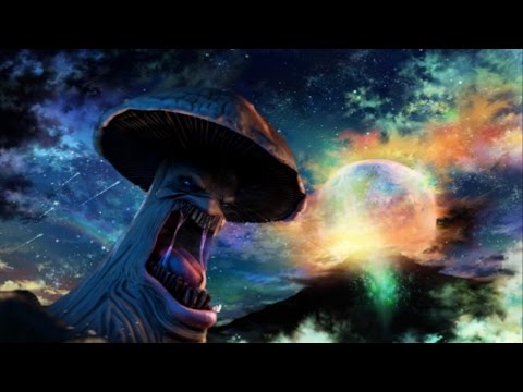 Mein erster Trip auf Trüffeln  [ Horrortrip ]