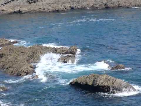 Concerto para um verão - Alan & His Orchestra.