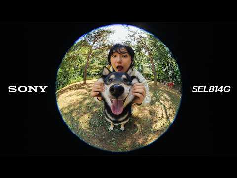 SONY ���� FE 8-14mm F3.5 Fisheye G