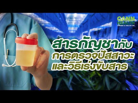 ทำอย่างไรสารกัญชาในร่างกายถึงตรวจไม่พบในปัสสาวะครับ - Pantip ทำอย่างไรสารกัญชาในร่างกายถึงตรวจไม่พบในปัสสาวะครับ - Pantip