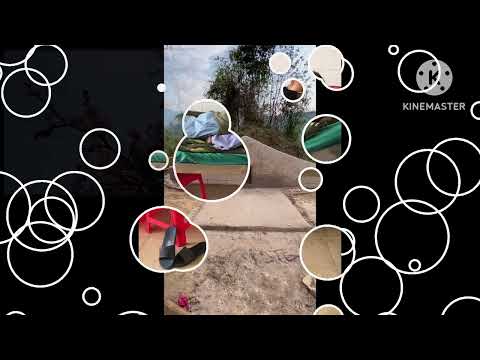 Txiv lo lus kub || Kawm Muas