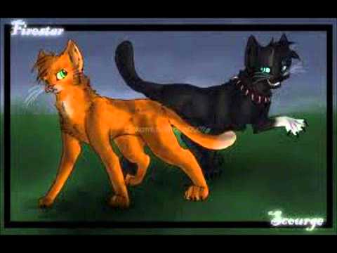 Scourge's Revenge (Read Description!)