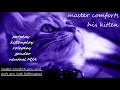 Asmr Master Comforts His Kitten Kittenplay Petplay Gentle Dom Roleplay Gender Neutral Asmrpetplay