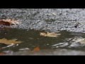 Craig Connelly Rain Radio Edit 