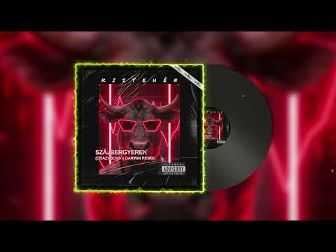 KISTEHÉN - SZÁJBERGYEREK (CRAZYBOYS x DARWIN REMIX)