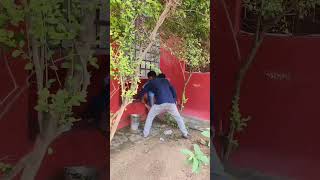 Swachchata Hi Sewa program at the Court complex of Kantamal on dtd 02-10-2024;?>