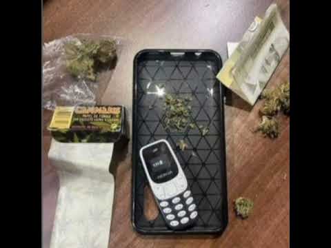 Caoz - novo jutro novi dan