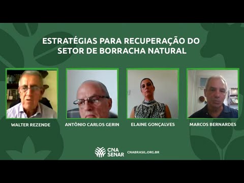 Estratégias para Recuperação do Setor de Borracha Natural