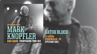 Mark Knopfler - Gator Blood (Live, Privateering Tour 2013)
