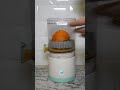 Automatic Citrus Juicer With One Button Operation