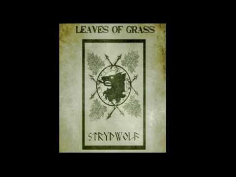 Strydwolf - Verborgenes Leid