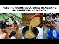 Feeding Guide Mula Sisiw Hanggang Sa Pagbenta Ng Manok