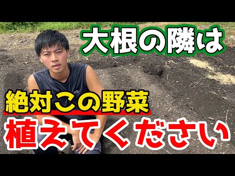 園芸 ピンク大根