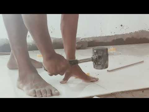 The Latest Trend in Indian Flooring is Absolutely Wild