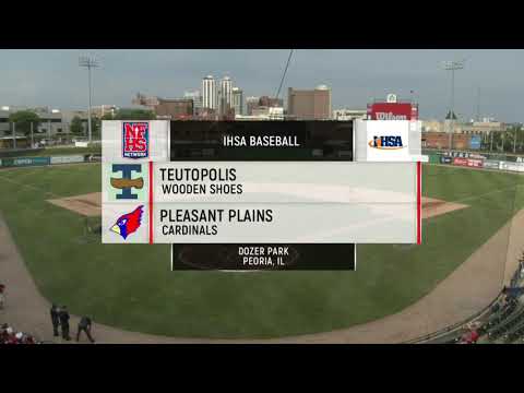 2019 IHSA Boys Baseball Class 2A Championship Game: Teutopolis vs. Pleasant Plains