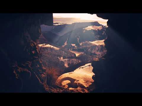 BRAUNFUFEL - The End