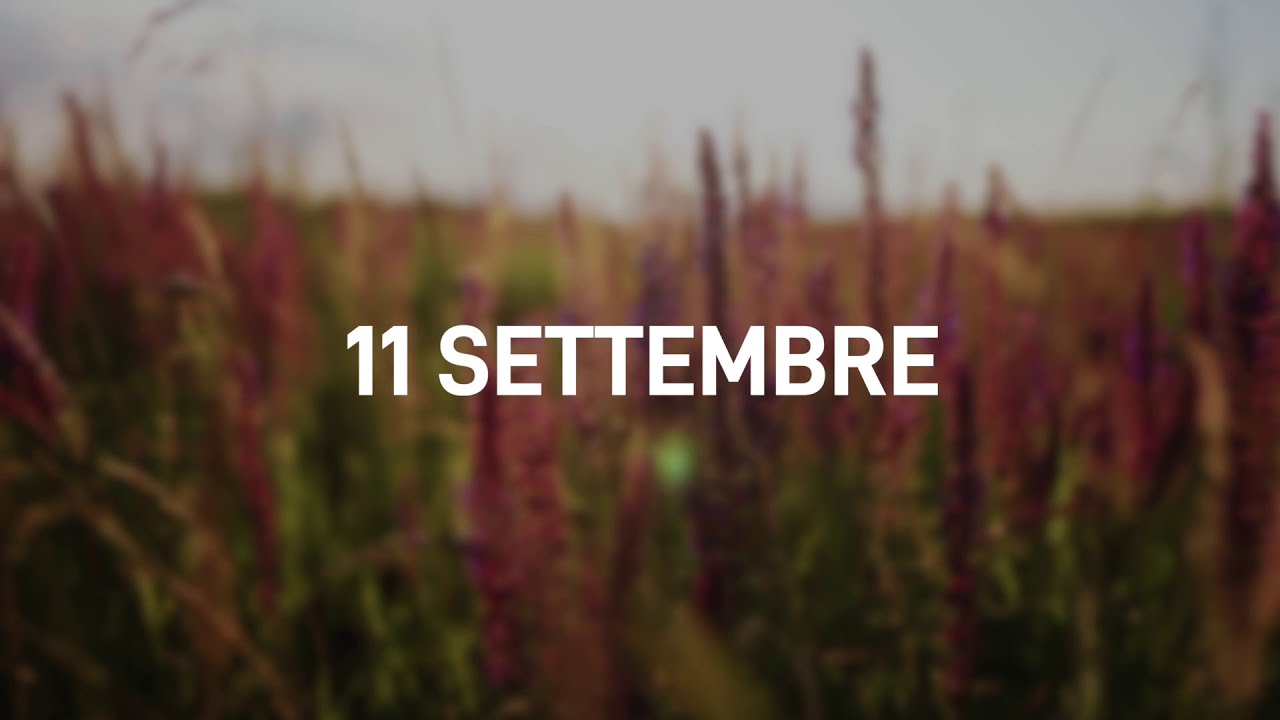 11 Settembre 2025 | Meditazione Parole di Vita