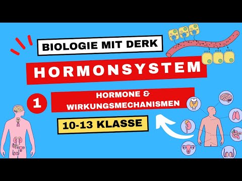 Hormonsystem | 1 | Hormone & Wirkungsmechanismen | 10 - 13 Klasse