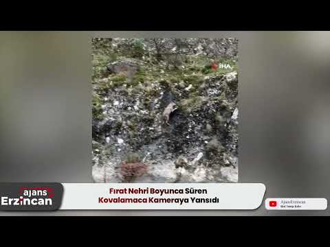 Fırat Nehri Boyunca Süren Kovalamaca Kameraya Yansıdı