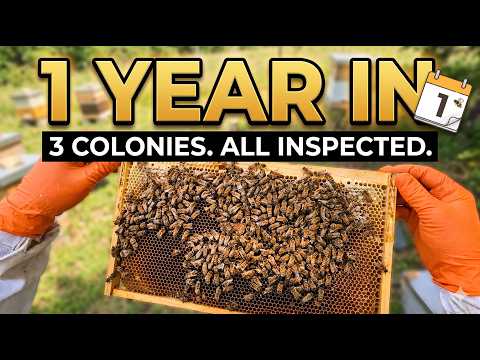 A Beekeeper's Eye View — Full Inspections After 1 Year