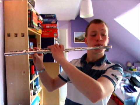 Annie's Song on the Flute