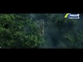 The Legend Of Tarzan Afsomali