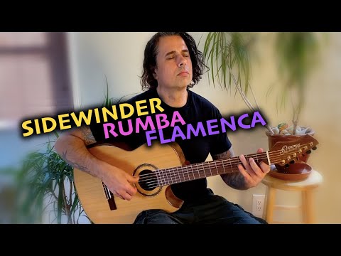 Ben Woods - Sidewinder (Rumba Flamenca) - Ortega Signature Guitar TABS