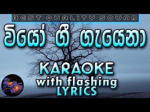 Wiyo Gee Gayana Hade Karaoke with Lyrics (Without Voice)