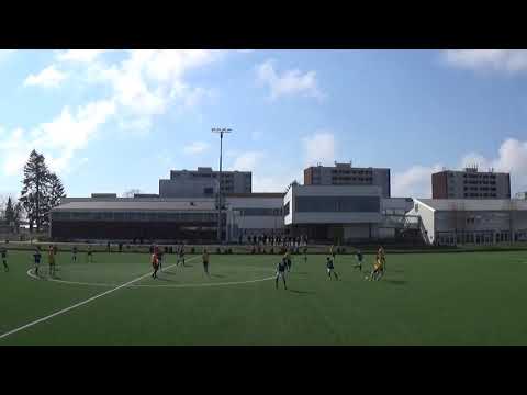 Viking   Djerv 1919 Versjon 1