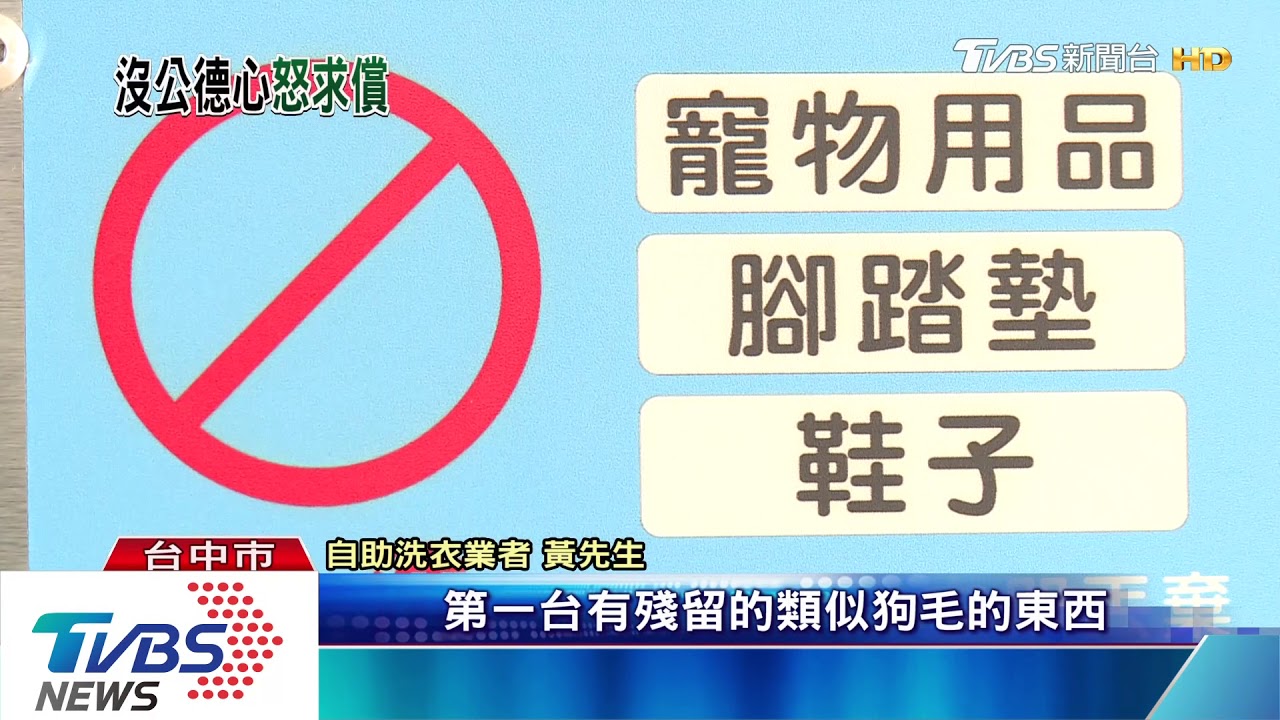 全都是你寵物的毛! 男違規拿牽繩、睡窩自助洗衣