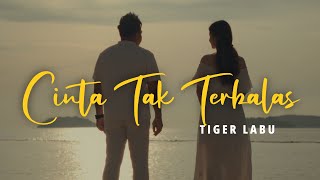 Download lagu Tiger Labu - Cinta Tak Terbalas mp3