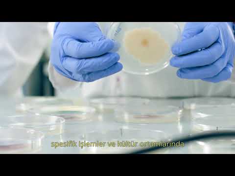 Shigeki ve Kaishi ürünlerimizin üreticisi Futureco Bioscience