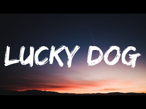 Lucky Dog