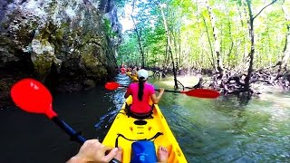 Kayaking in Krabi mangrove forest with a monkeys