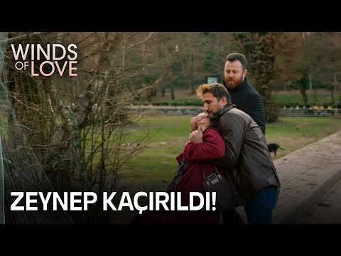 Halil takes action when Zeynep is kidnapped | Winds of Love Episode 54 (MULTI SUB)