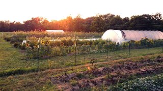 Garden Tour | July and August 2021