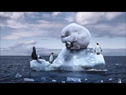 "Attacco alla natura" - Riccardo Trenta