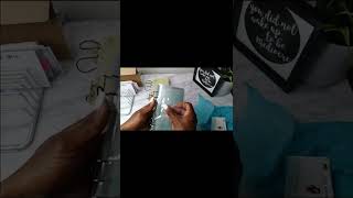 More Happy Mail | New Member to the Savings Family Ft @budgetwithemmy