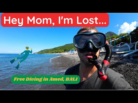 FREE DIVING IN AMED, BALI ???? ????