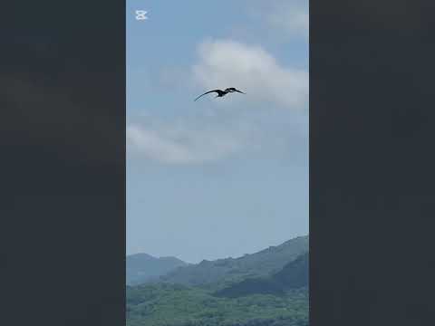 Conoce este destino de La Cruz, donde se llega solo en bote, y escucha mi poema Deseo verte otra vez