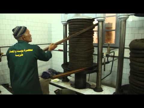 download lagu mp3 mp4 Unique Olive Oil, download lagu Unique Olive Oil gratis, unduh video klip Unique Olive Oil