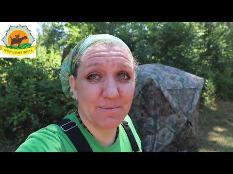 Summer Homestead Update and Garden Tour!
