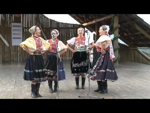 20110806 16 LT PRI MUZIKE VESELO OCOVAN OCOVA