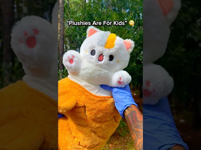 Vídeo relacionado con Shownicer, Gato de peluche, juguete suave kawaii, animales de peluche, cojín, regalo para niñas y niños de 3 años en adelante (Gato plátano, 30 cm)