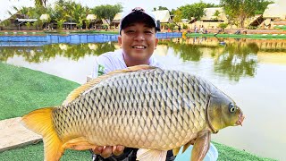 CÂU RÔ PHI - CHÉP  HỒ CÂU SUKA  - QUẬN 9 - TP HCM