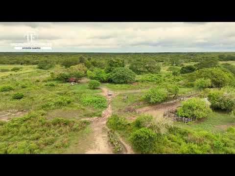 “Campo en Venta en Chaco” + “Laguna Permanente” + “Ruta”.