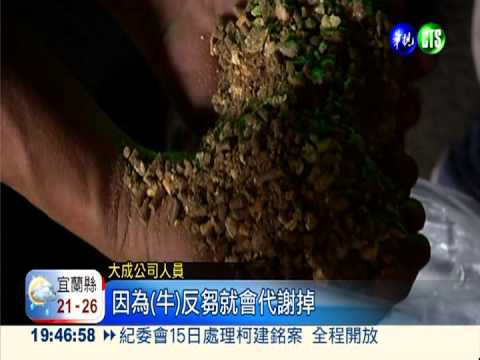 5業者進棉籽做飼料 農業處化驗