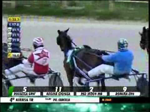 29/01/2014, Aversa , Premio Cercola