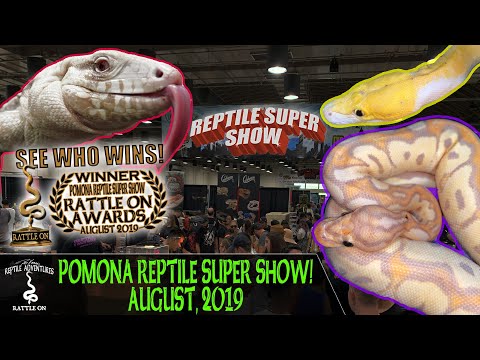 YouTube reptile video